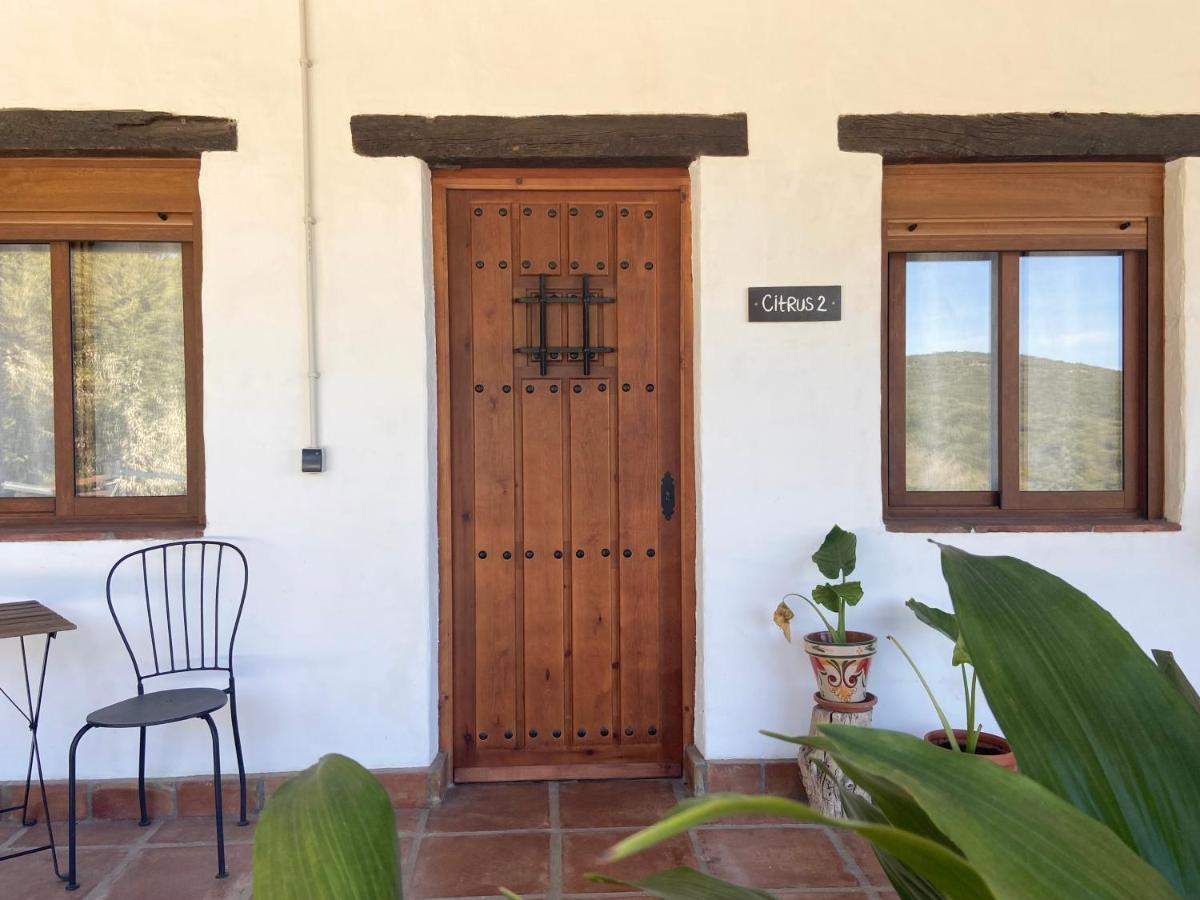 The Wild Olive Andalucía Citrus Suite Casares Exterior foto